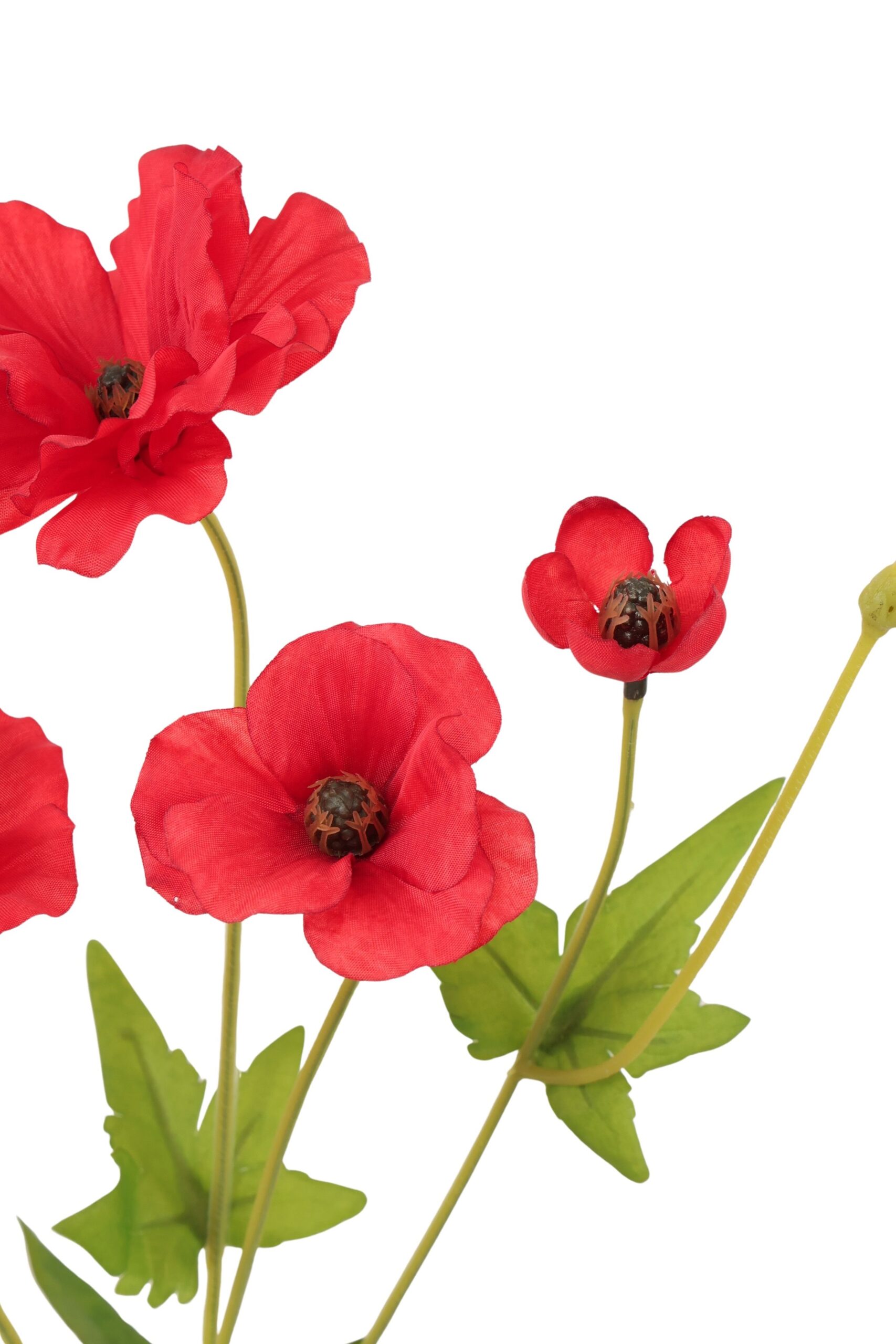 Cosmos tak x 4 50 cm rood, foto 2 van 2