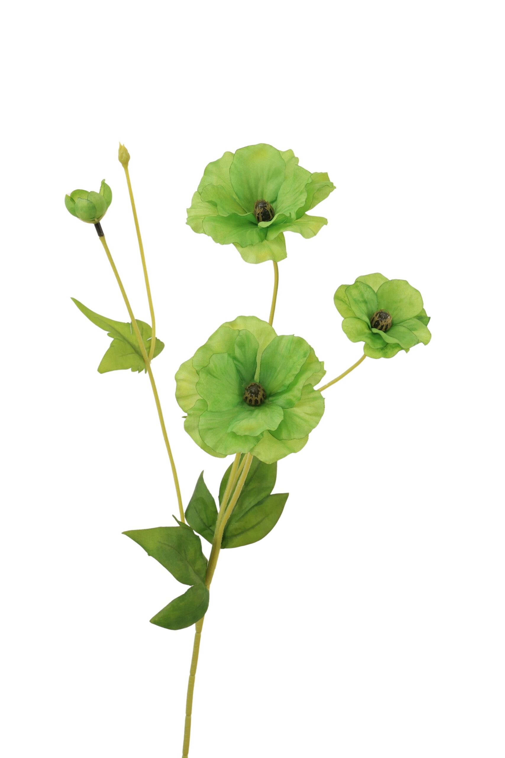 Cosmos tak x 4 50 cm groen