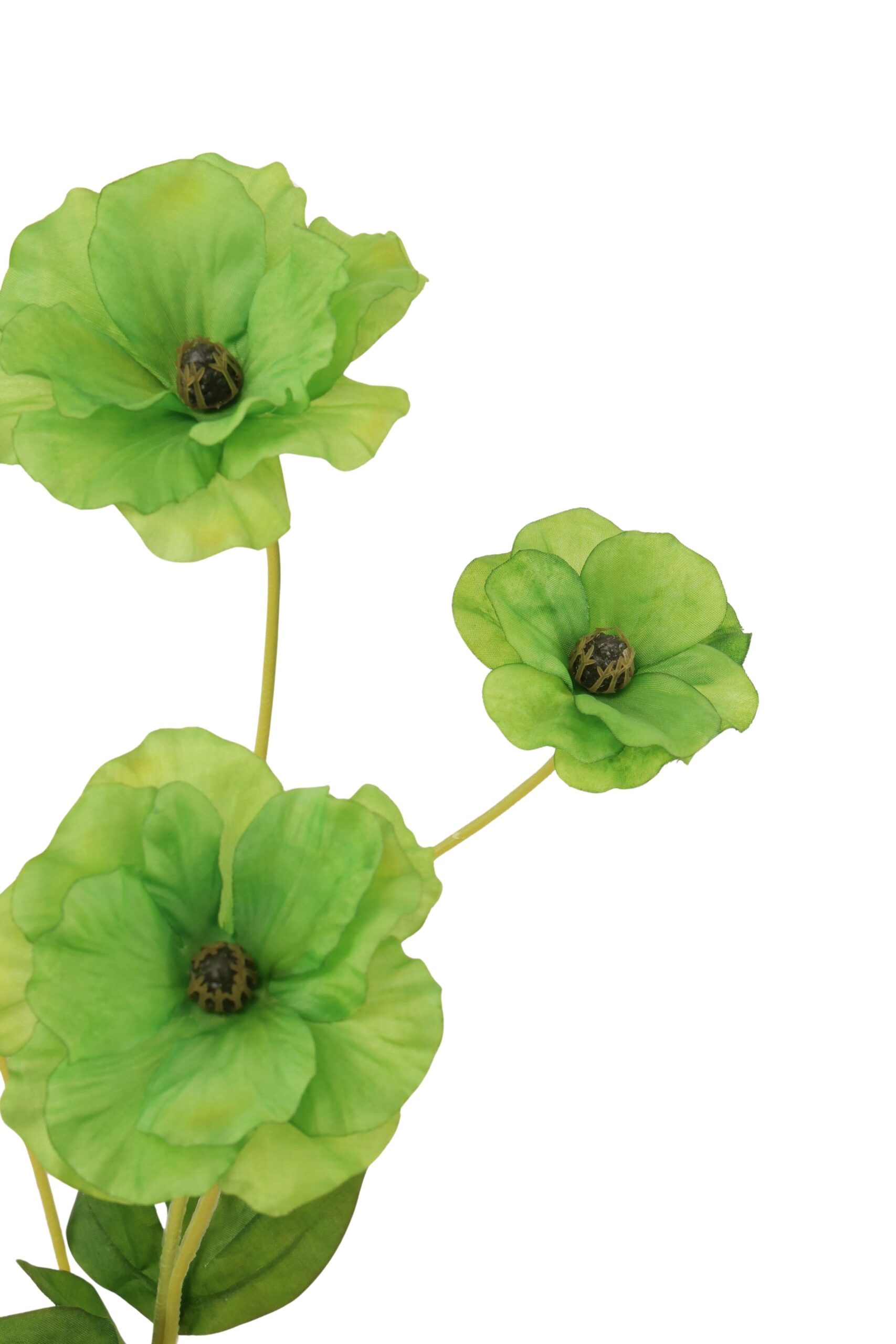 Cosmos tak x 4 50 cm groen, foto 2 van 2