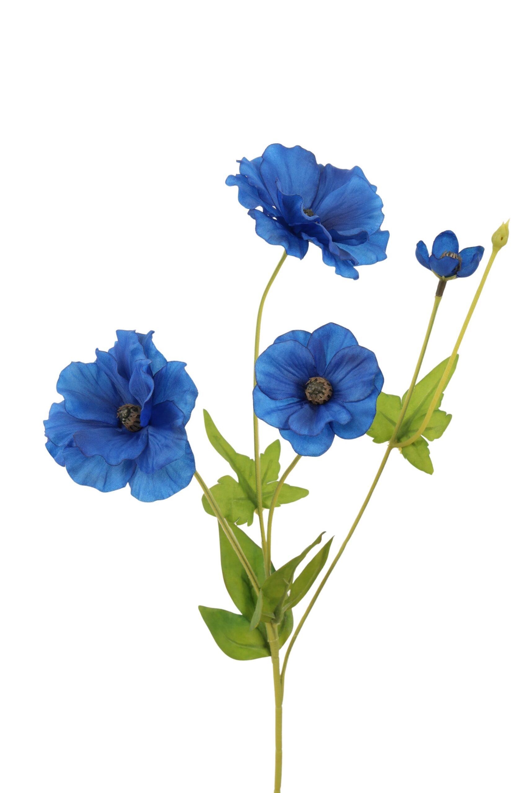 Cosmos tak x 4 50 cm blauw