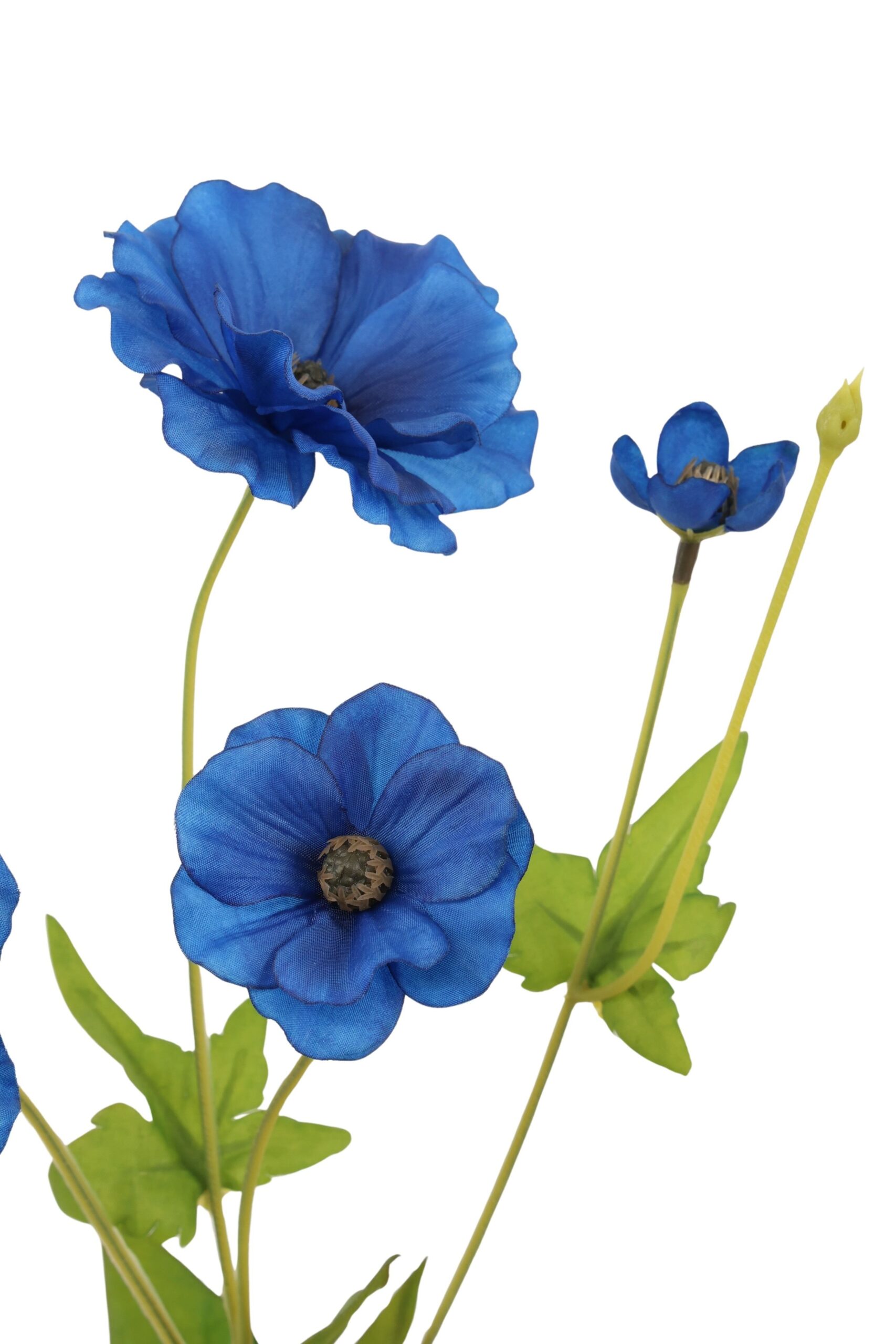Cosmos tak x 4 50 cm blauw, foto 2 van 2
