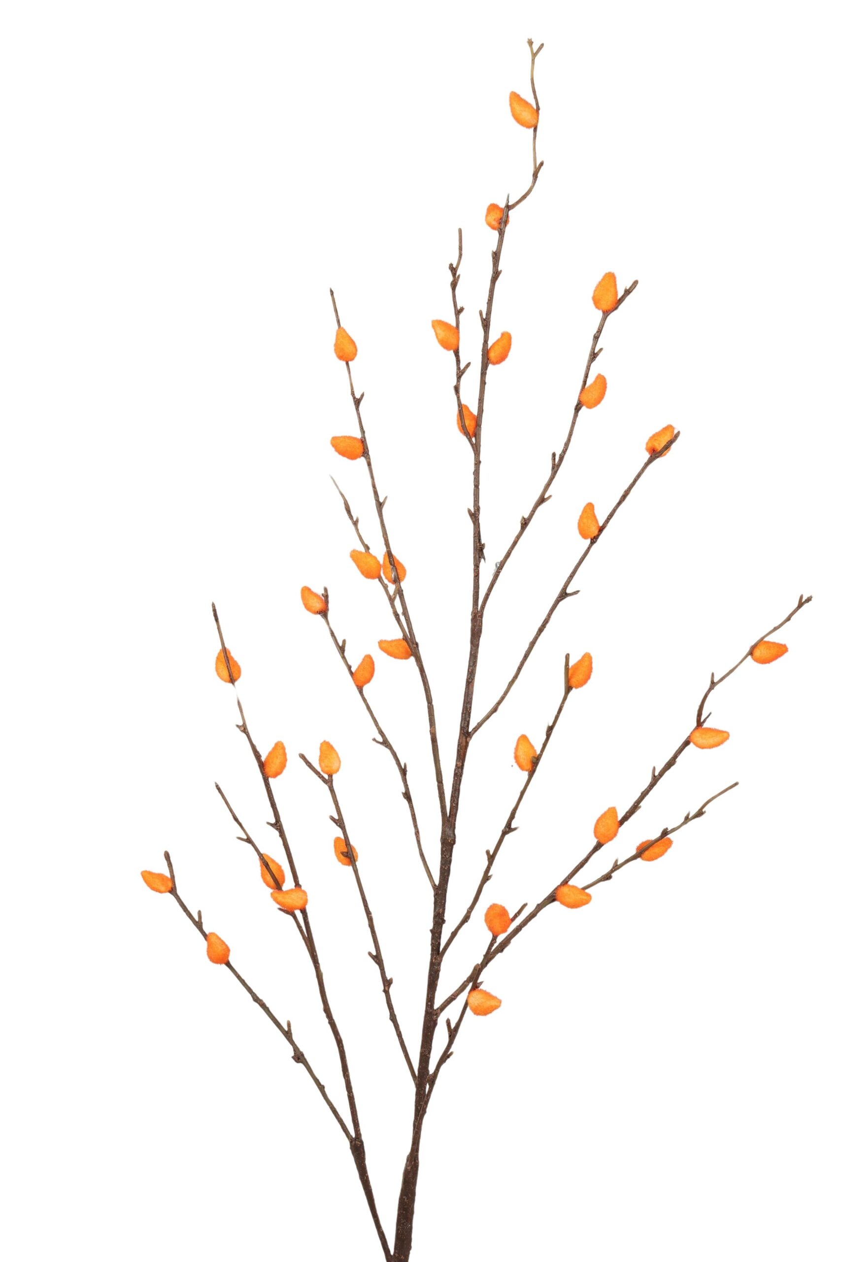 Katjeswilg 114 cm oranje
