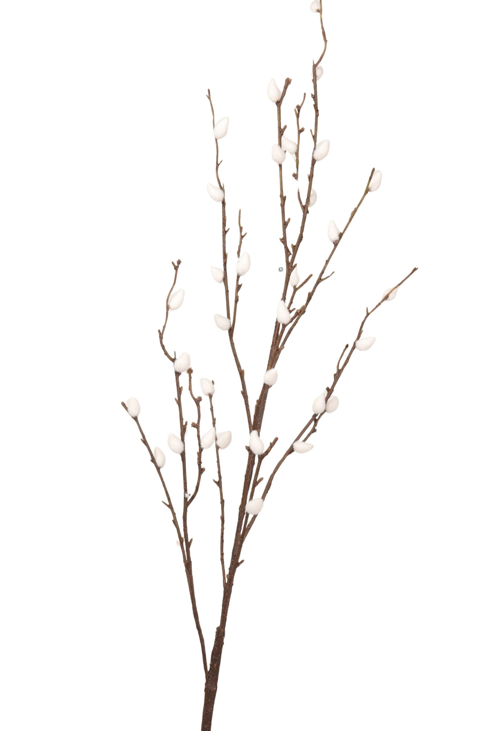 Katjeswilg 114 cm wit