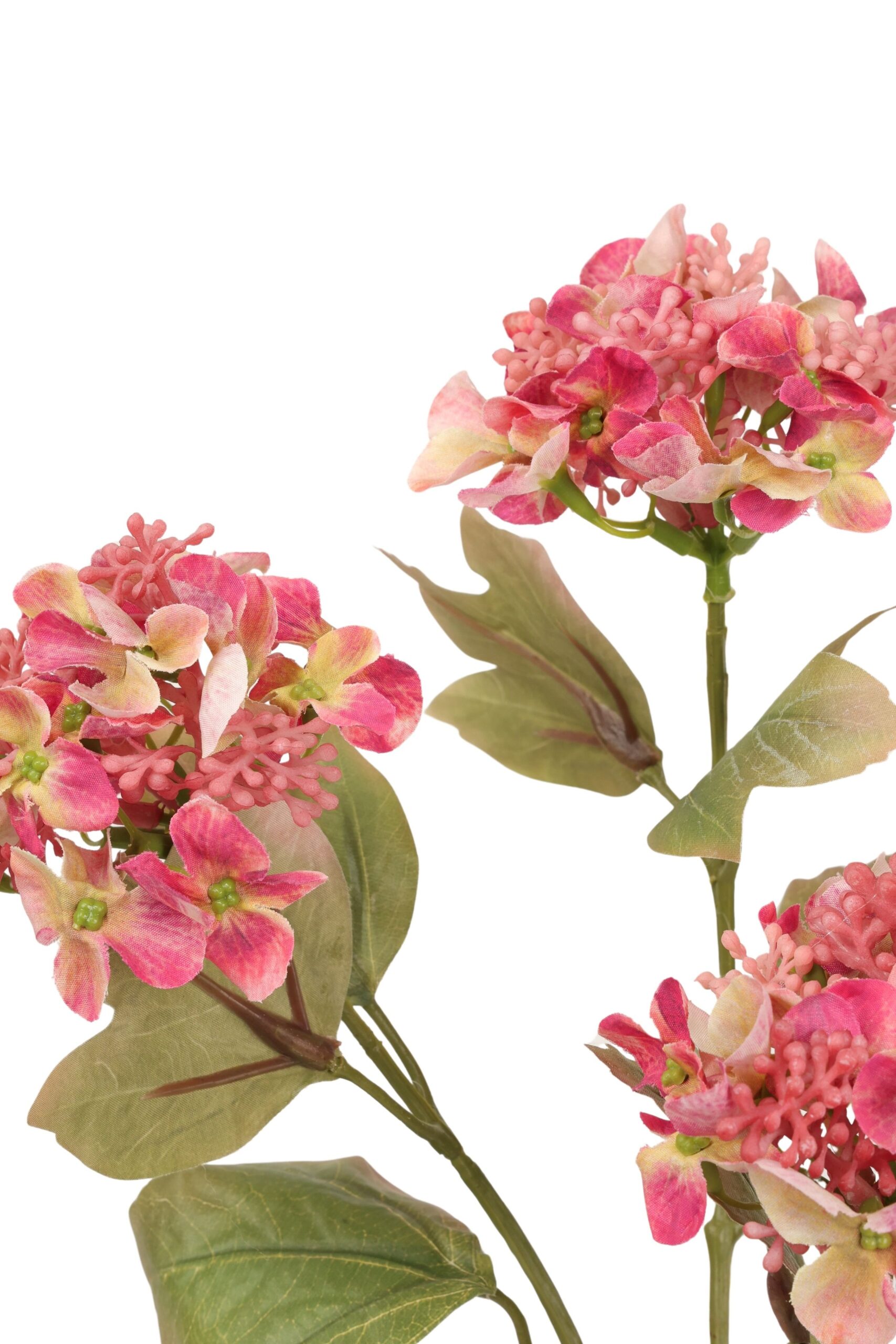 Hortensia x 3 82 cm bordeaux, foto 2 van 2