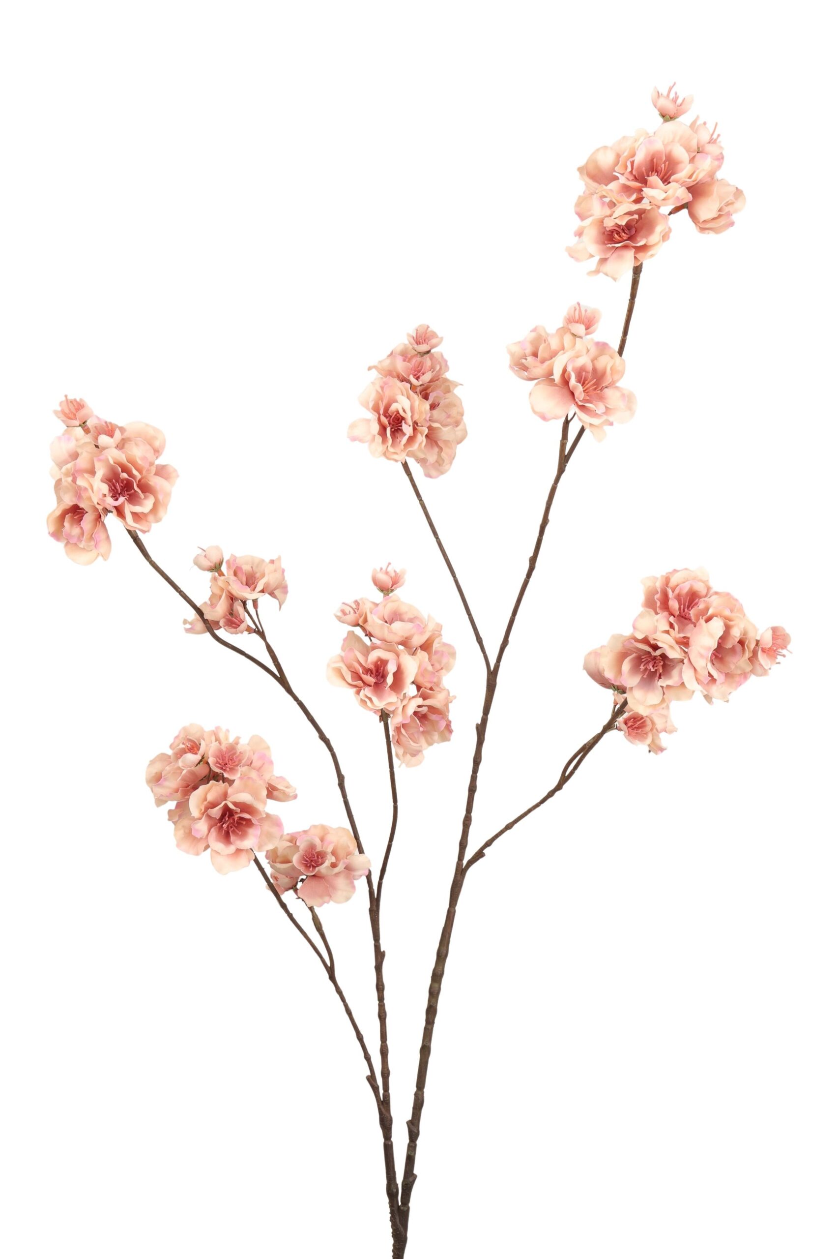 Bloesem tak 115 cm mauve