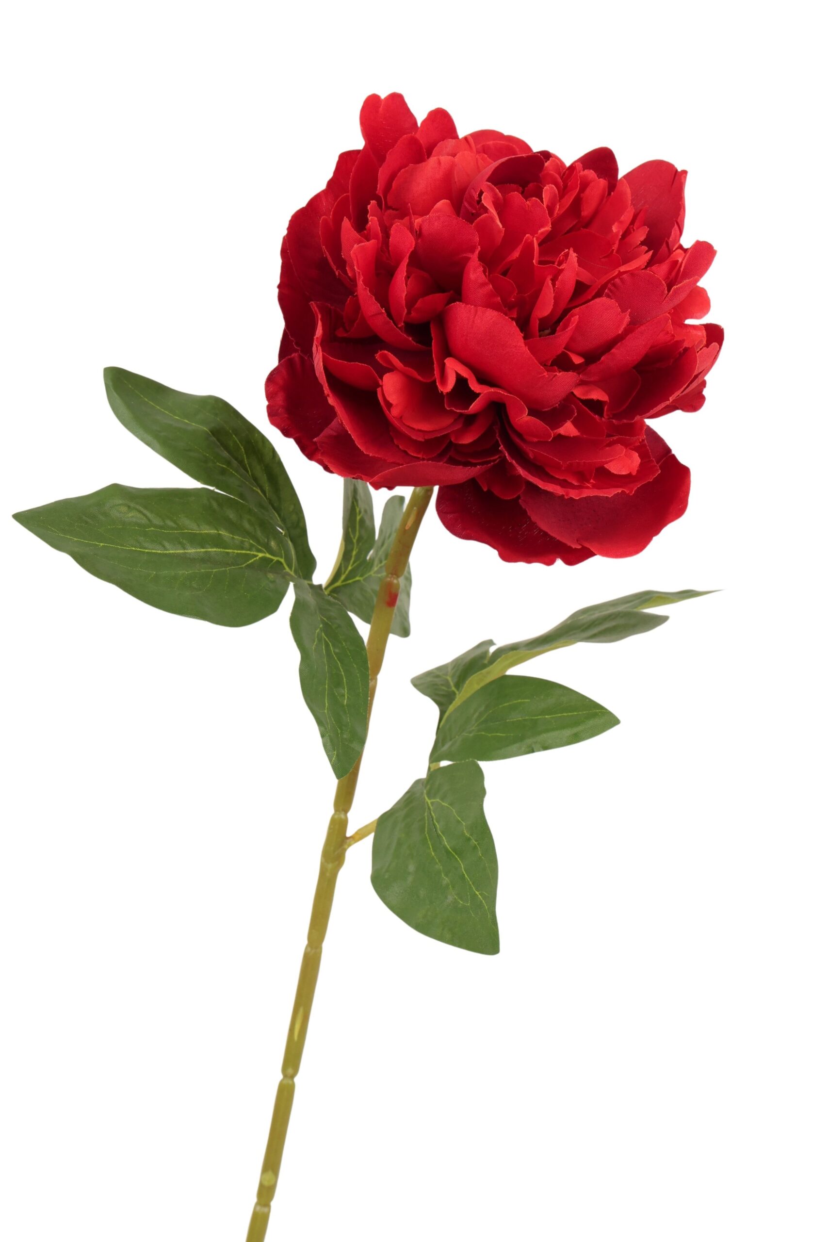Pioen tak x 1 70 cm rood