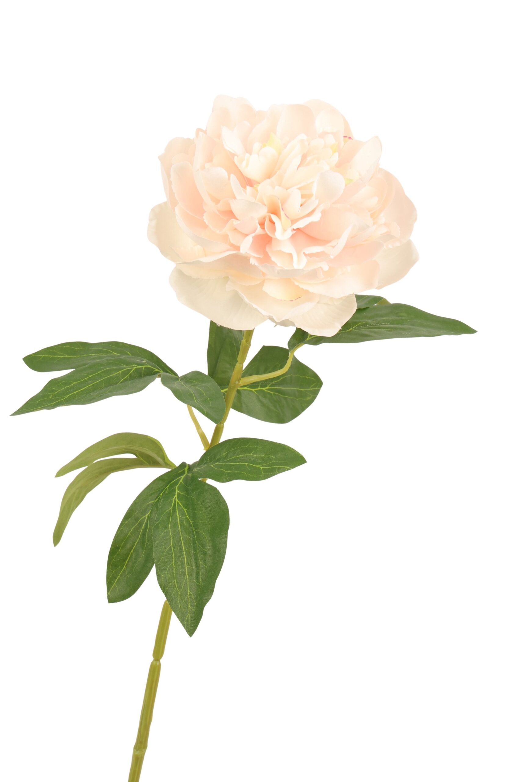 Pioen tak x 1 70 cm roze