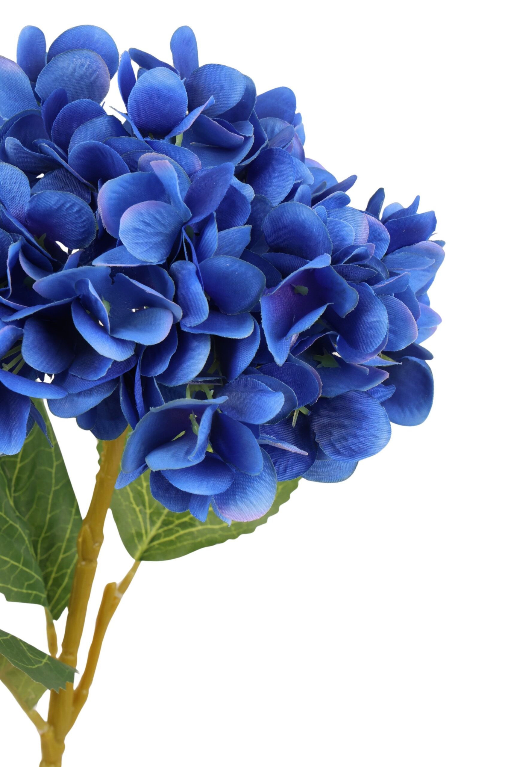 Hortensia x 1 62 cm donkerblauw, foto 2 van 2