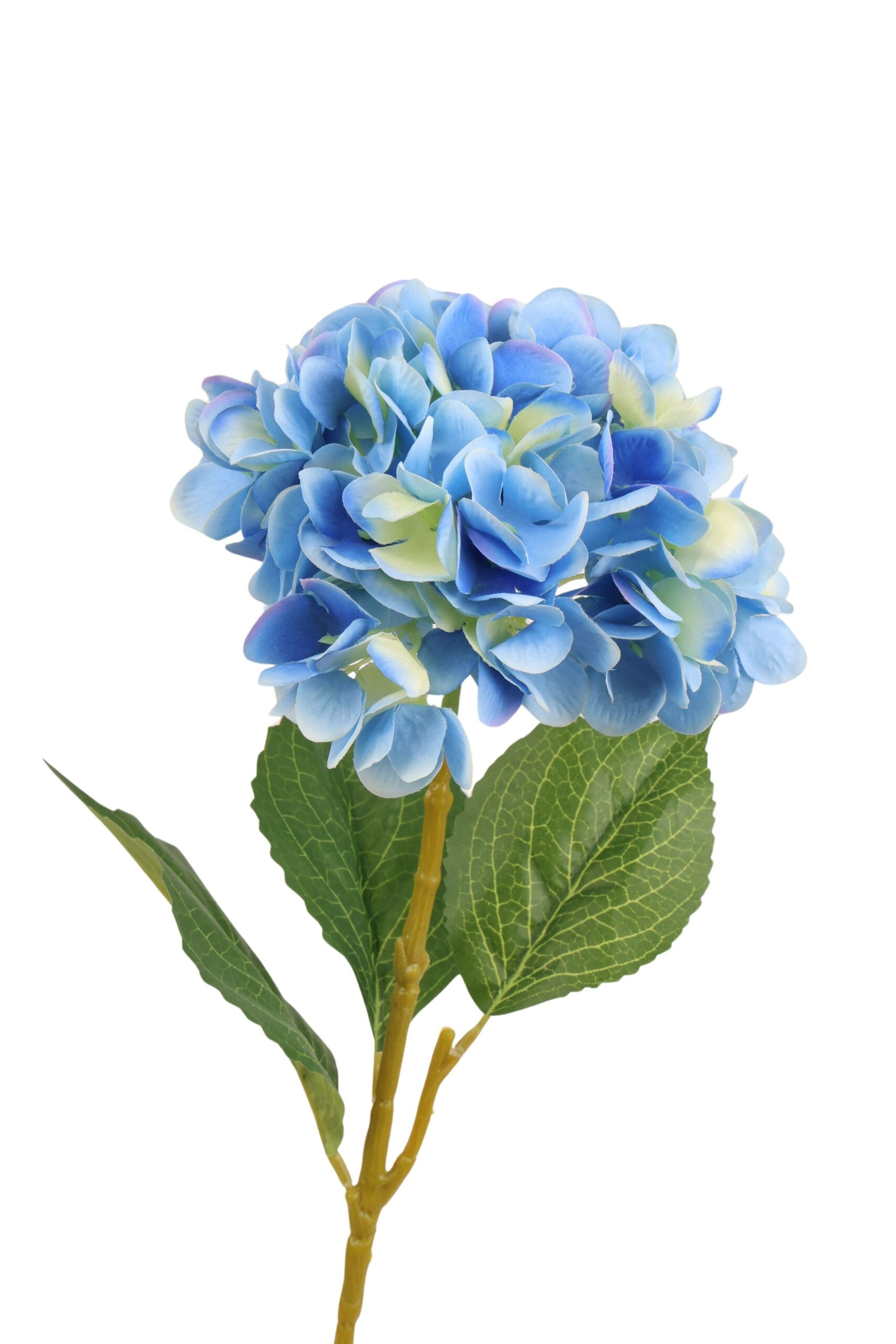 Hortensia x 1 62 cm lichtblauw