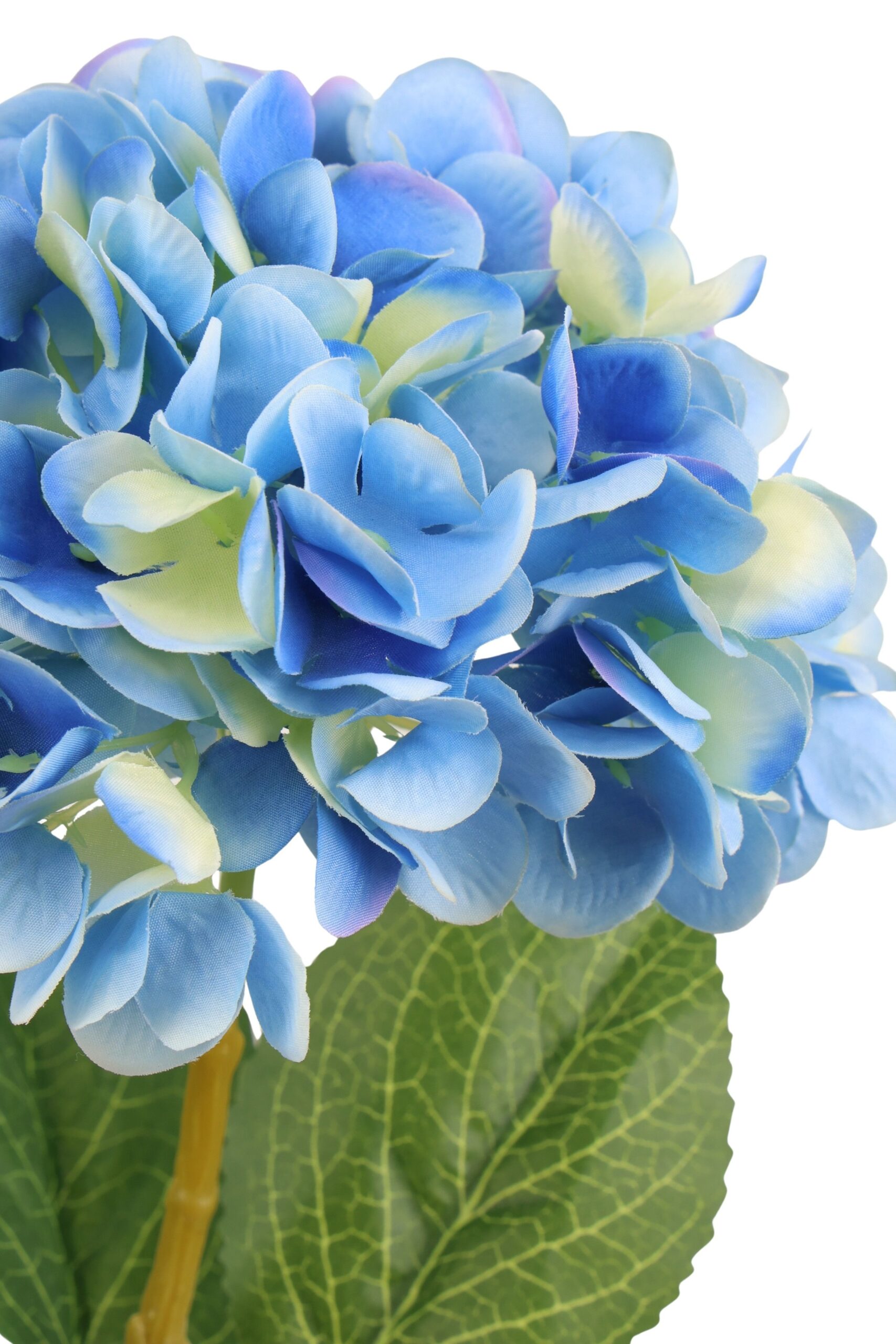 Hortensia x 1 62 cm lichtblauw, foto 2 van 2