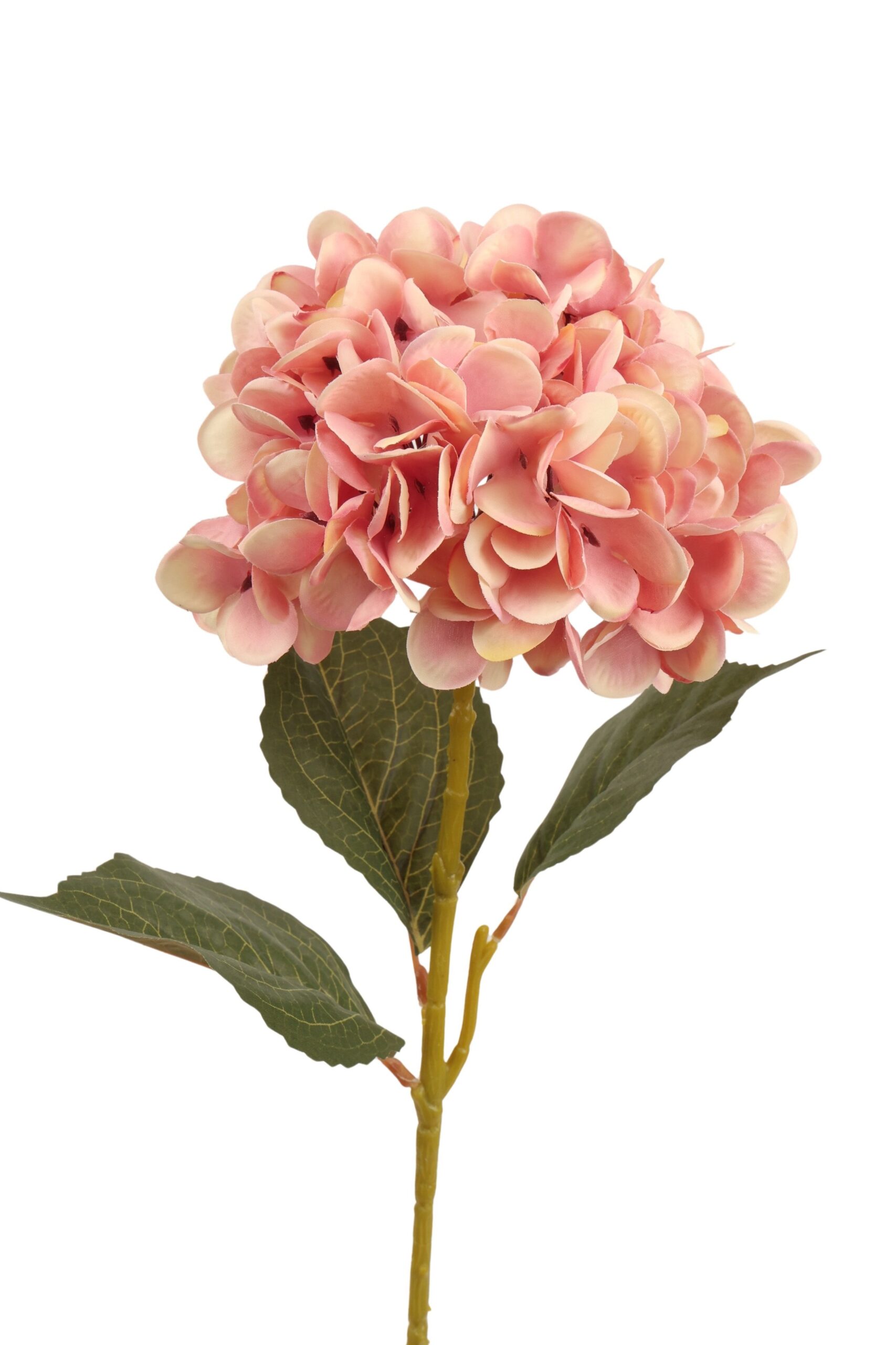 Hortensia x 1 62 cm mauve