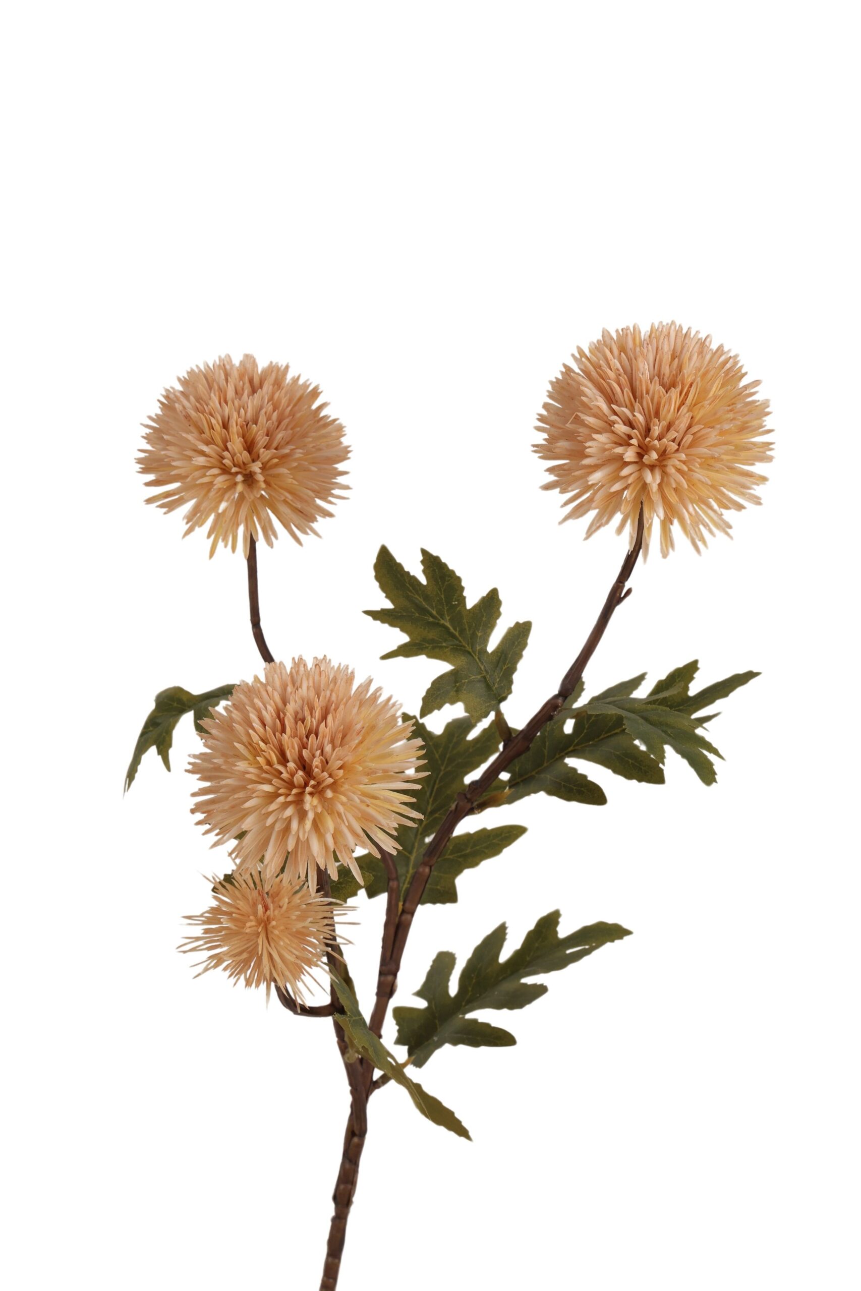 Distel tak x 4 72 cm crème