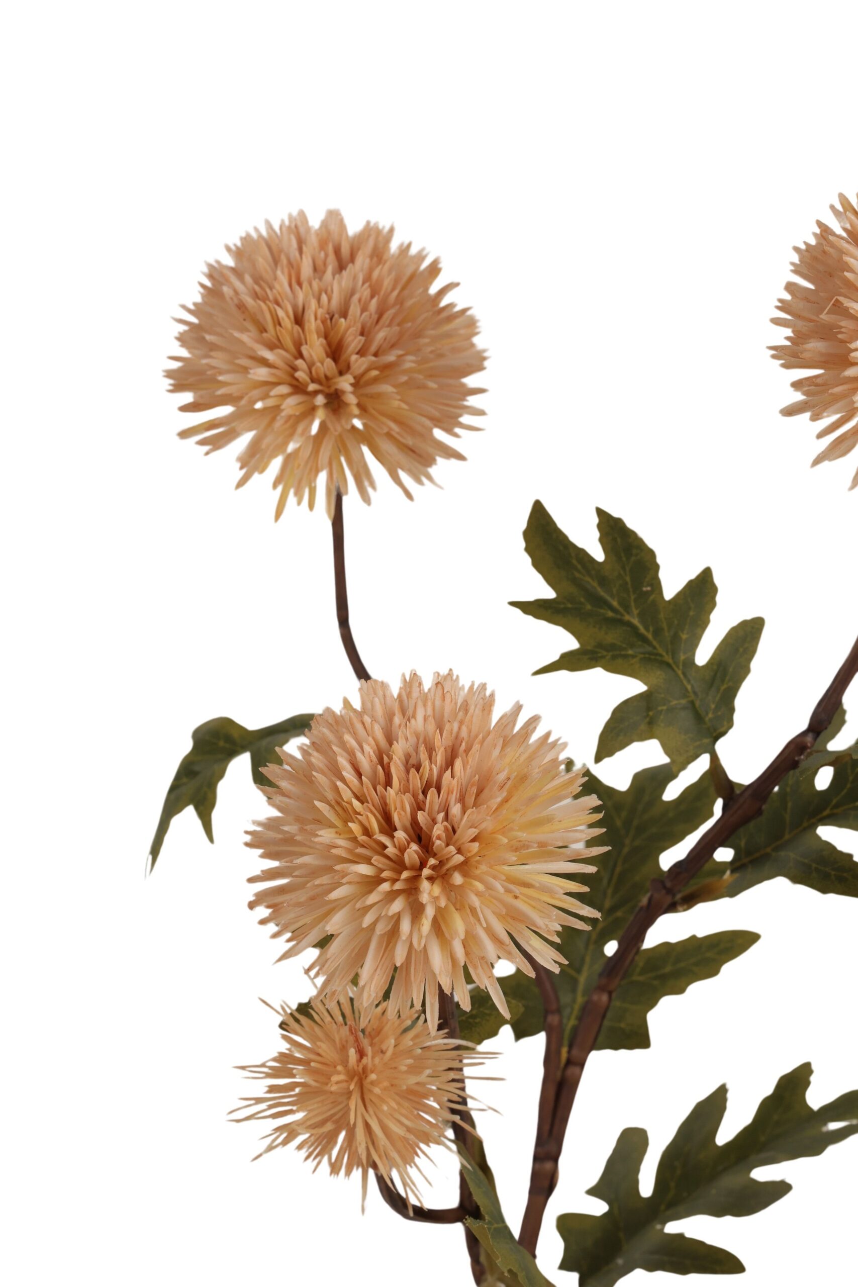 Distel tak x 4 72 cm crème, foto 2 van 2
