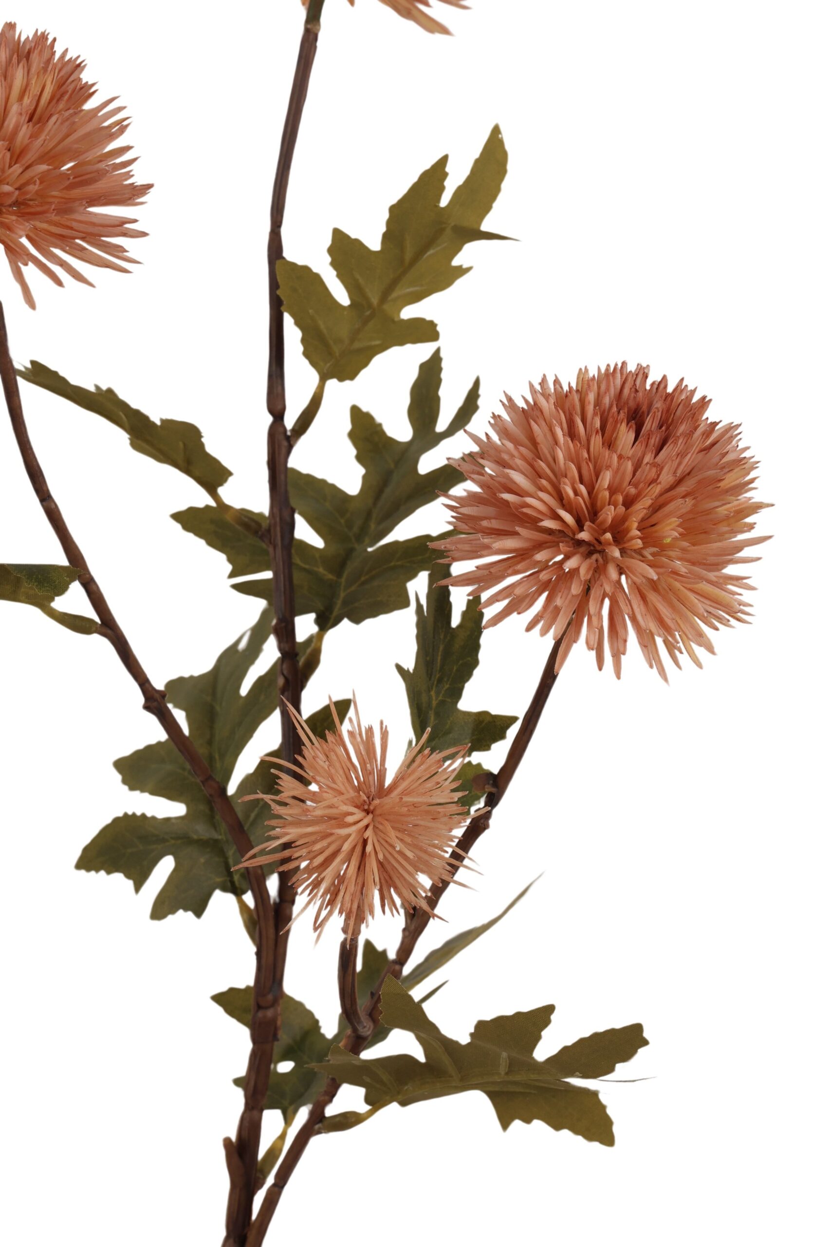 Distel tak x 4 72 cm perzik, foto 2 van 2