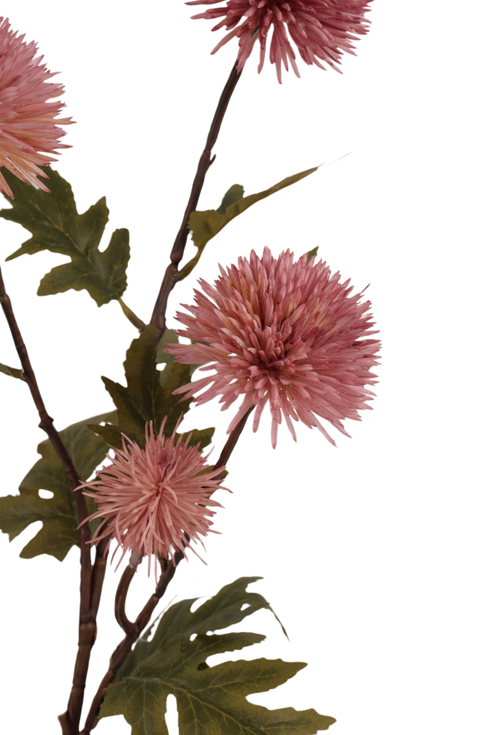 Distel tak x 4 72 cm roze, foto 2 van 2