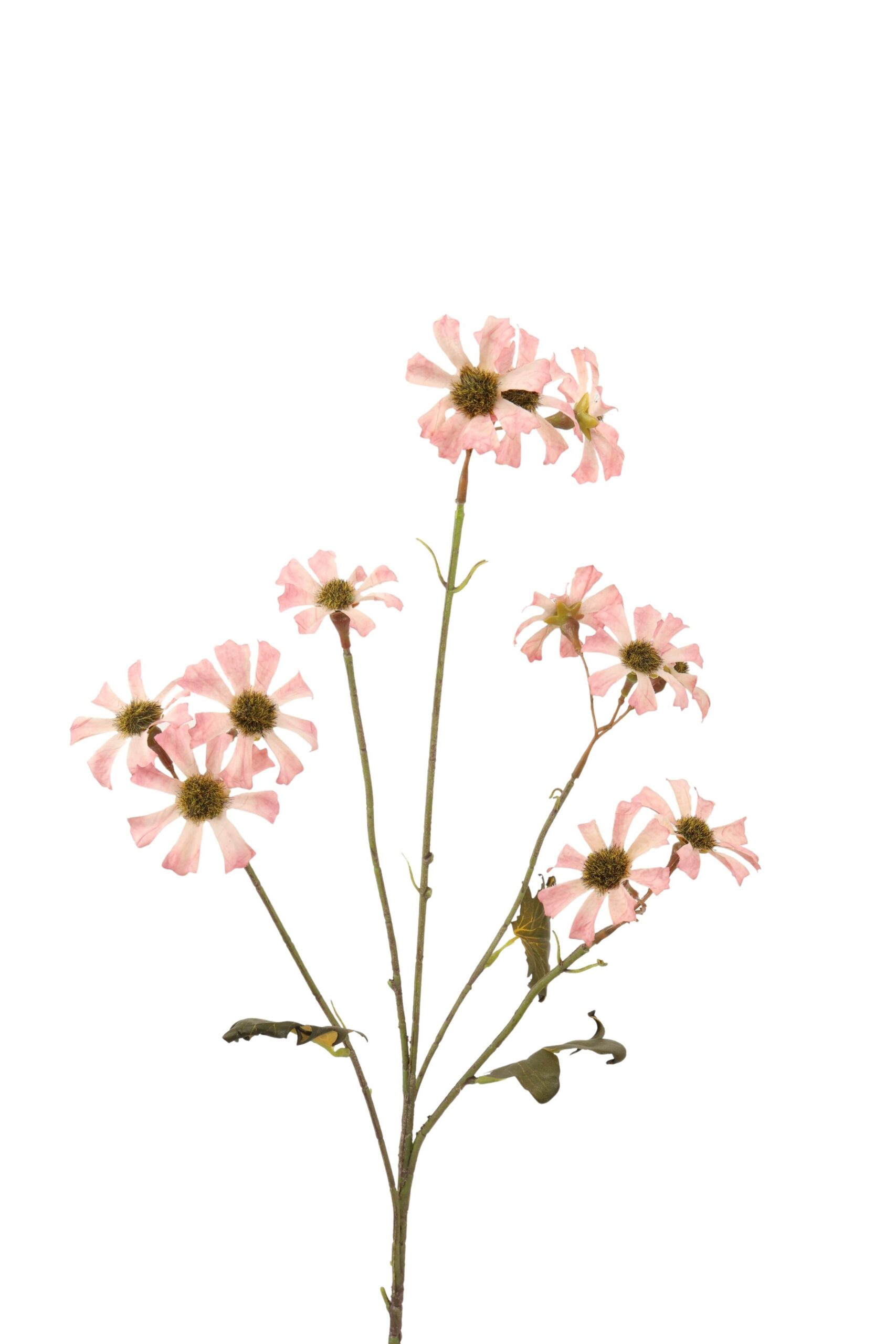 Starflower x 5 tak 88 cm roze
