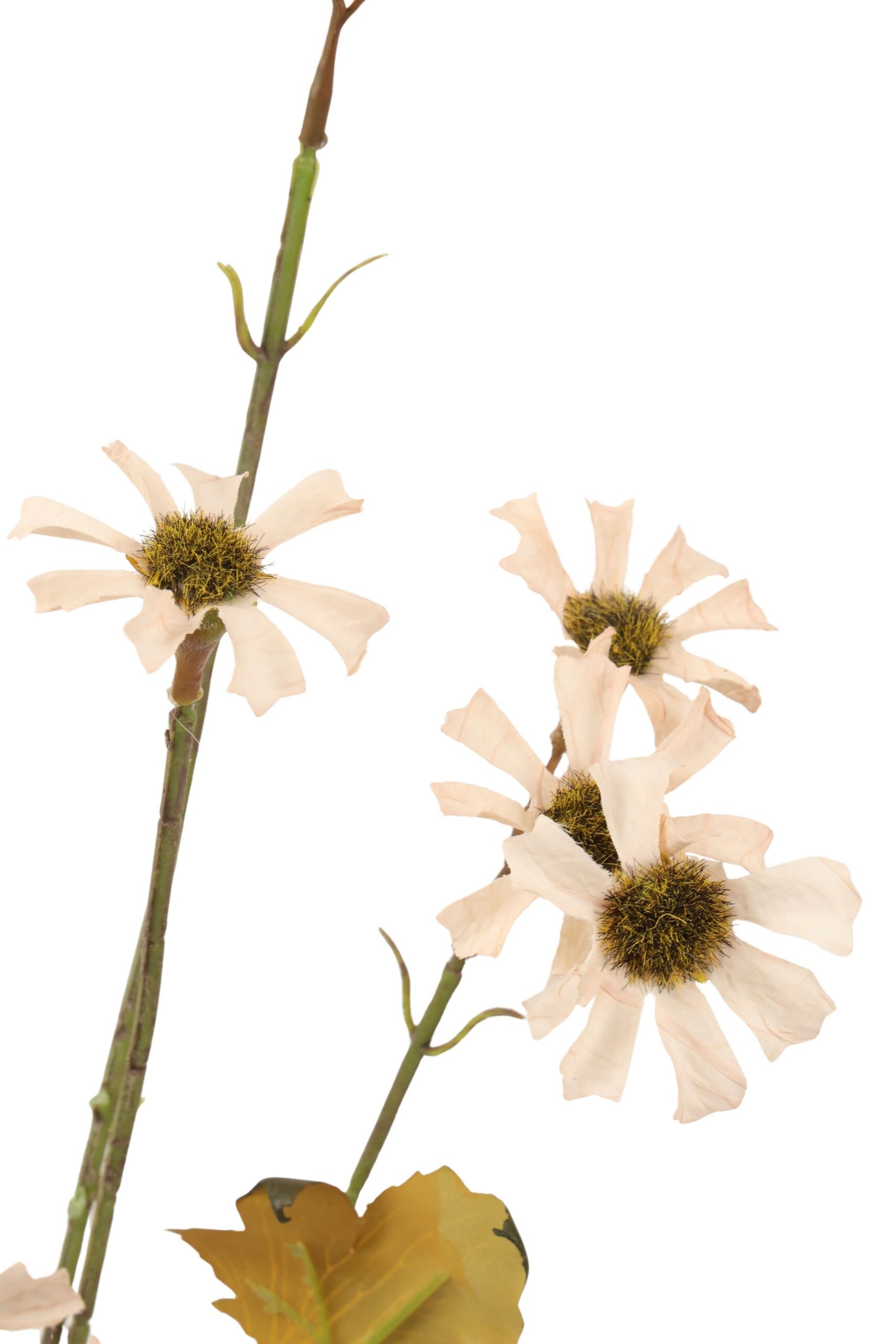 Starflower x 5 tak 88 cm crème, foto 2 van 2