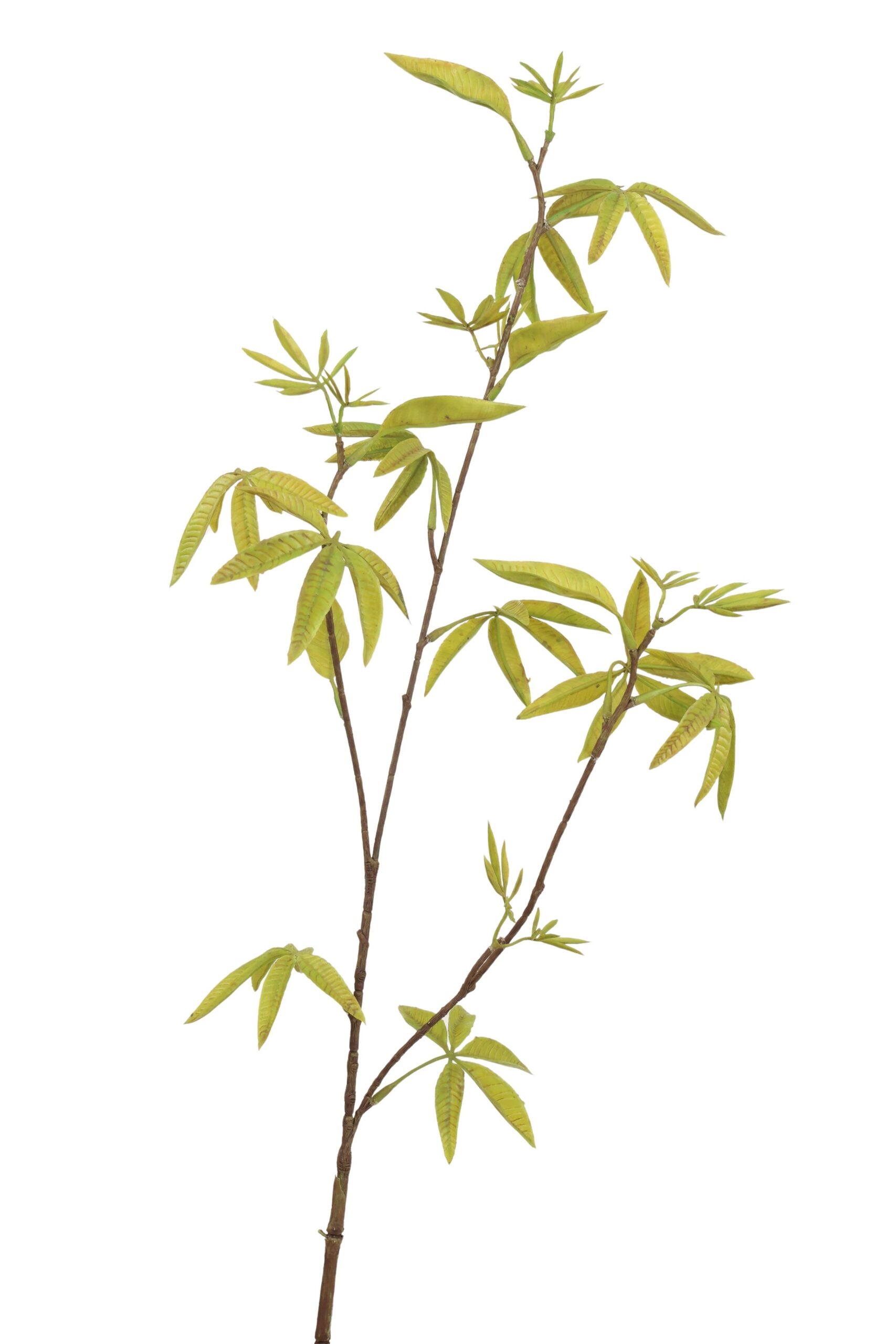 esdoorn spray 82 cm green