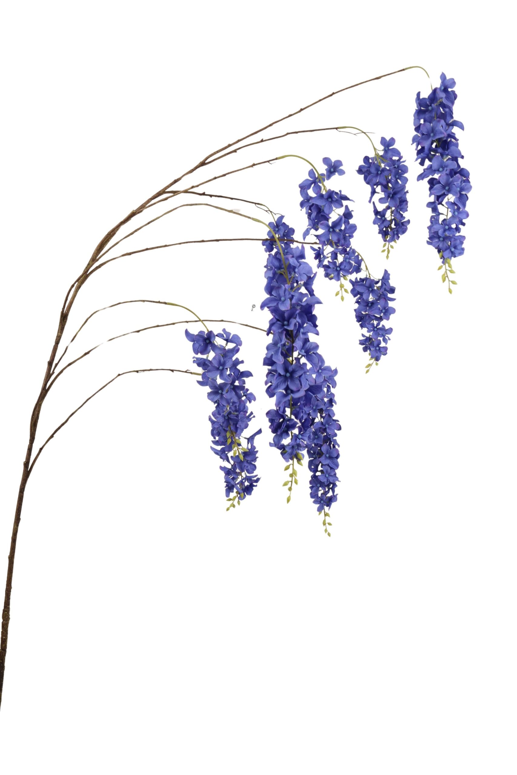 Wisteria tak x 9 155 cm blauw