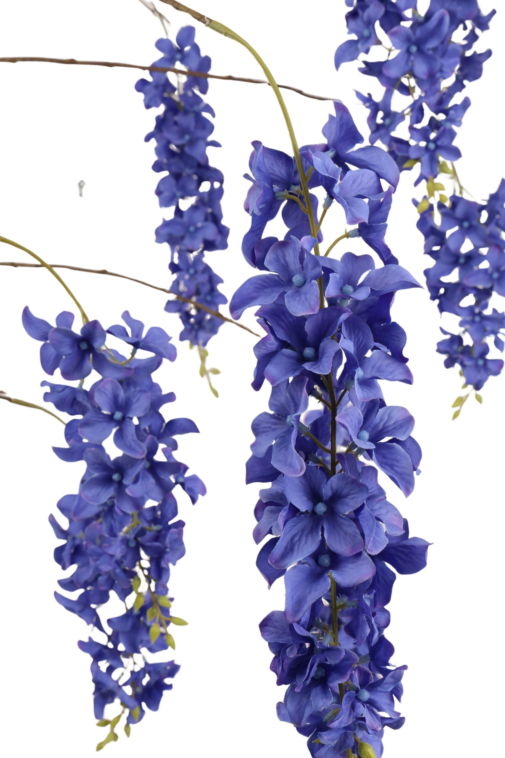 Wisteria tak x 9 155 cm blauw, foto 2 van 2