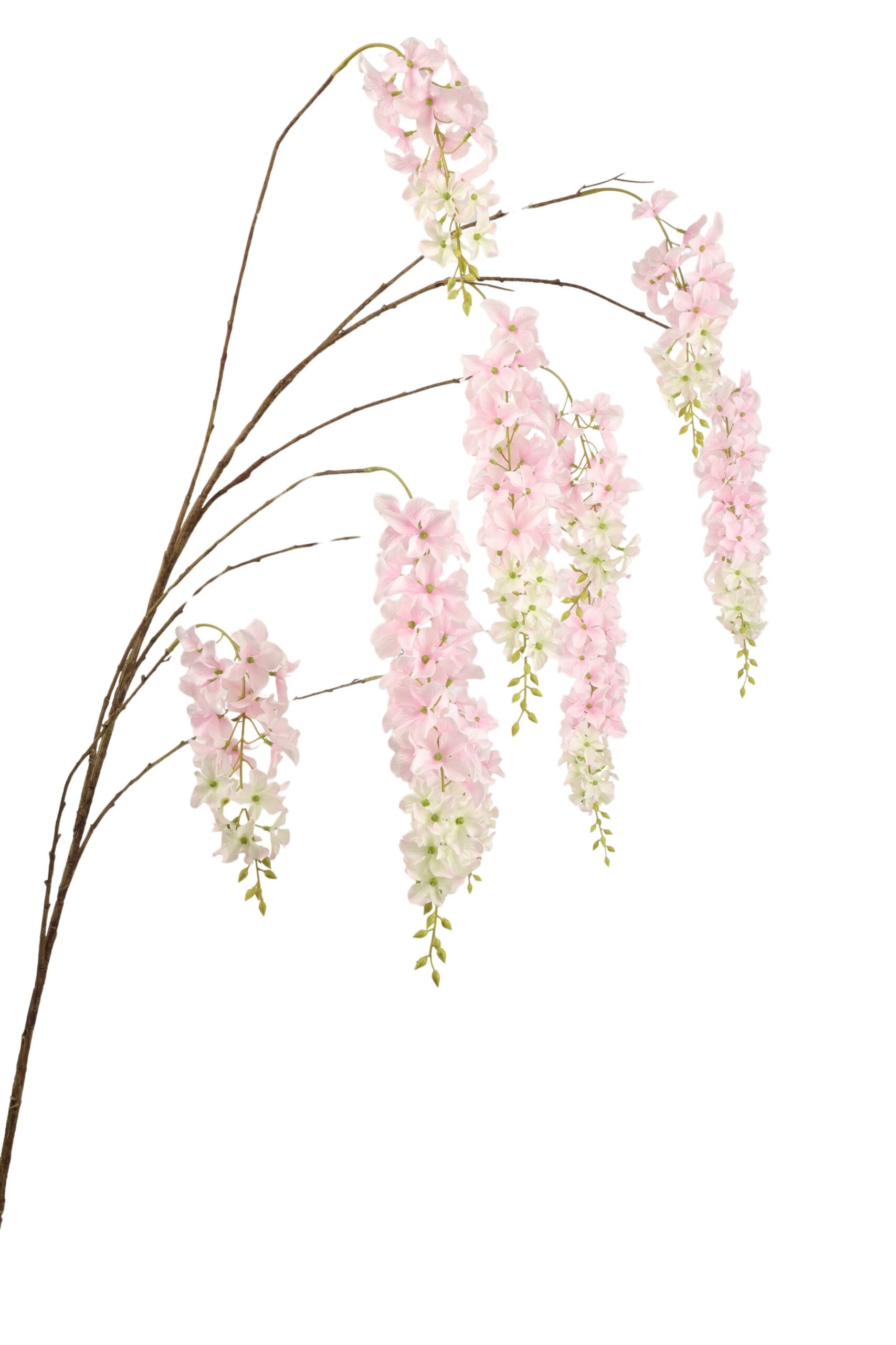Wisteria tak x 9 155 cm roze