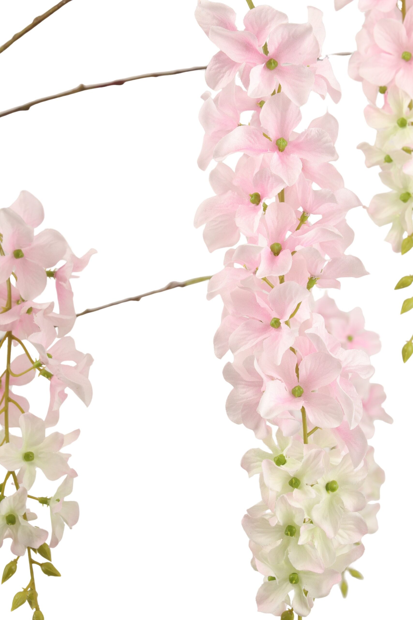 Wisteria tak x 9 155 cm roze, foto 2 van 2