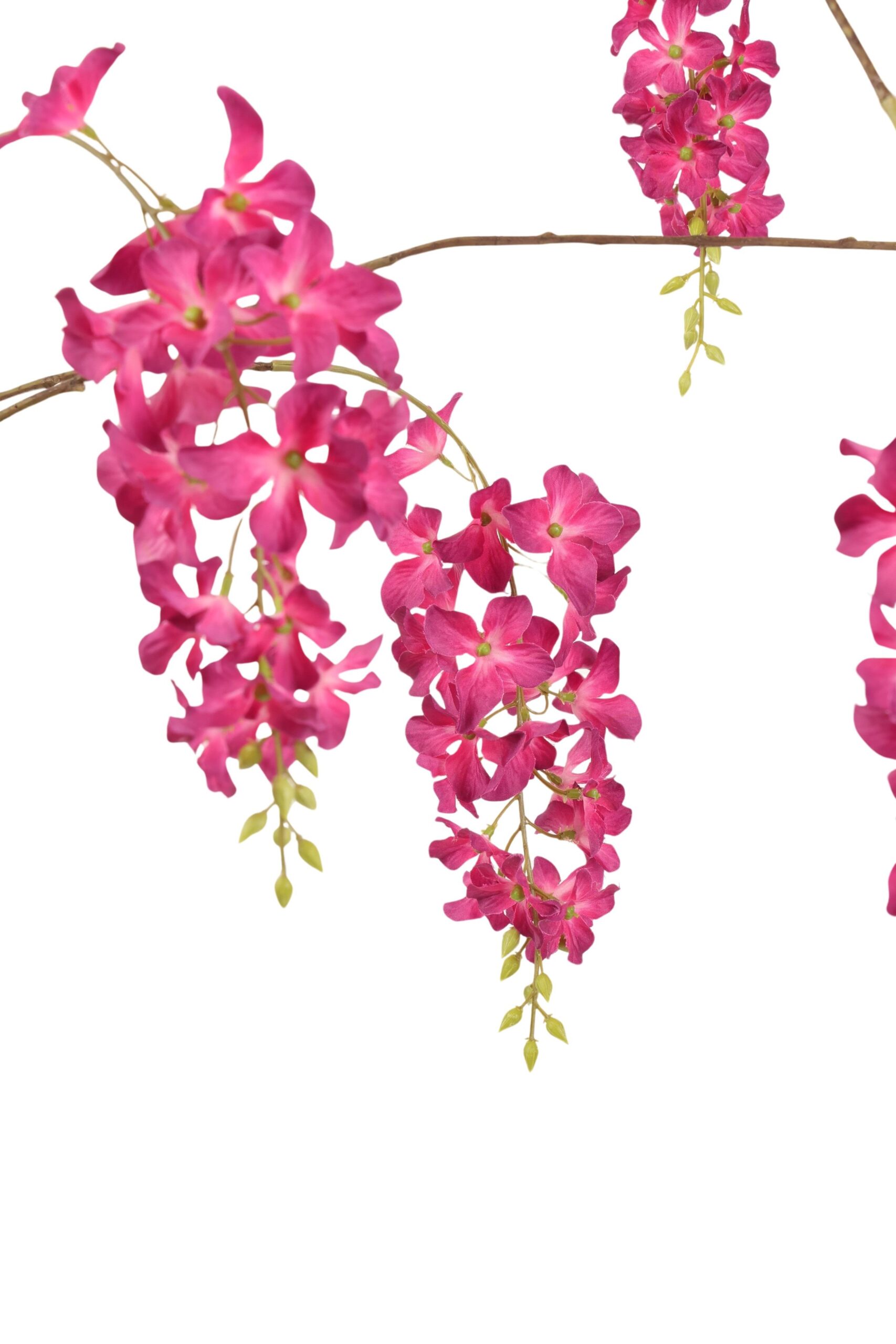 Wisteria tak x 9 155 cm bordeaux