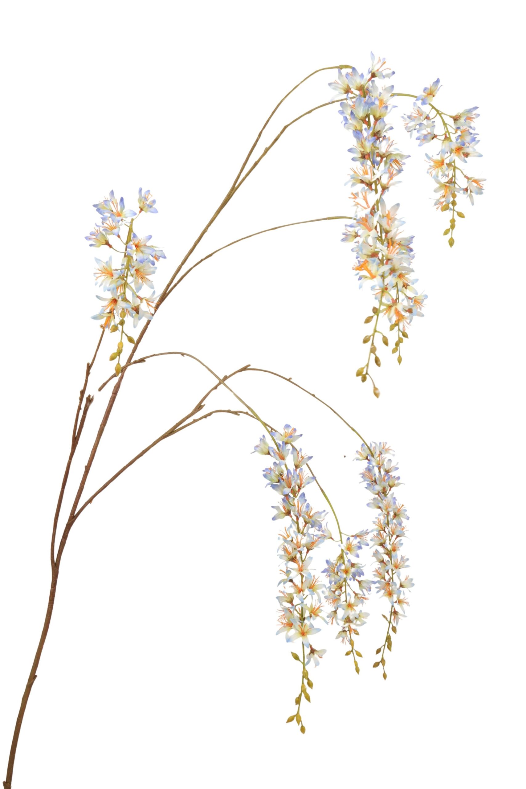 Wisteria tak x 7 181 cm blauw