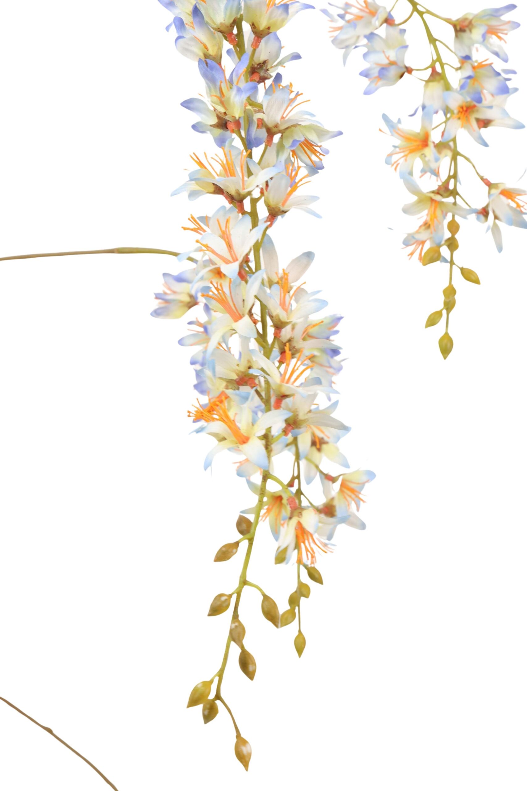 Wisteria tak x 7 181 cm blauw, foto 2 van 2
