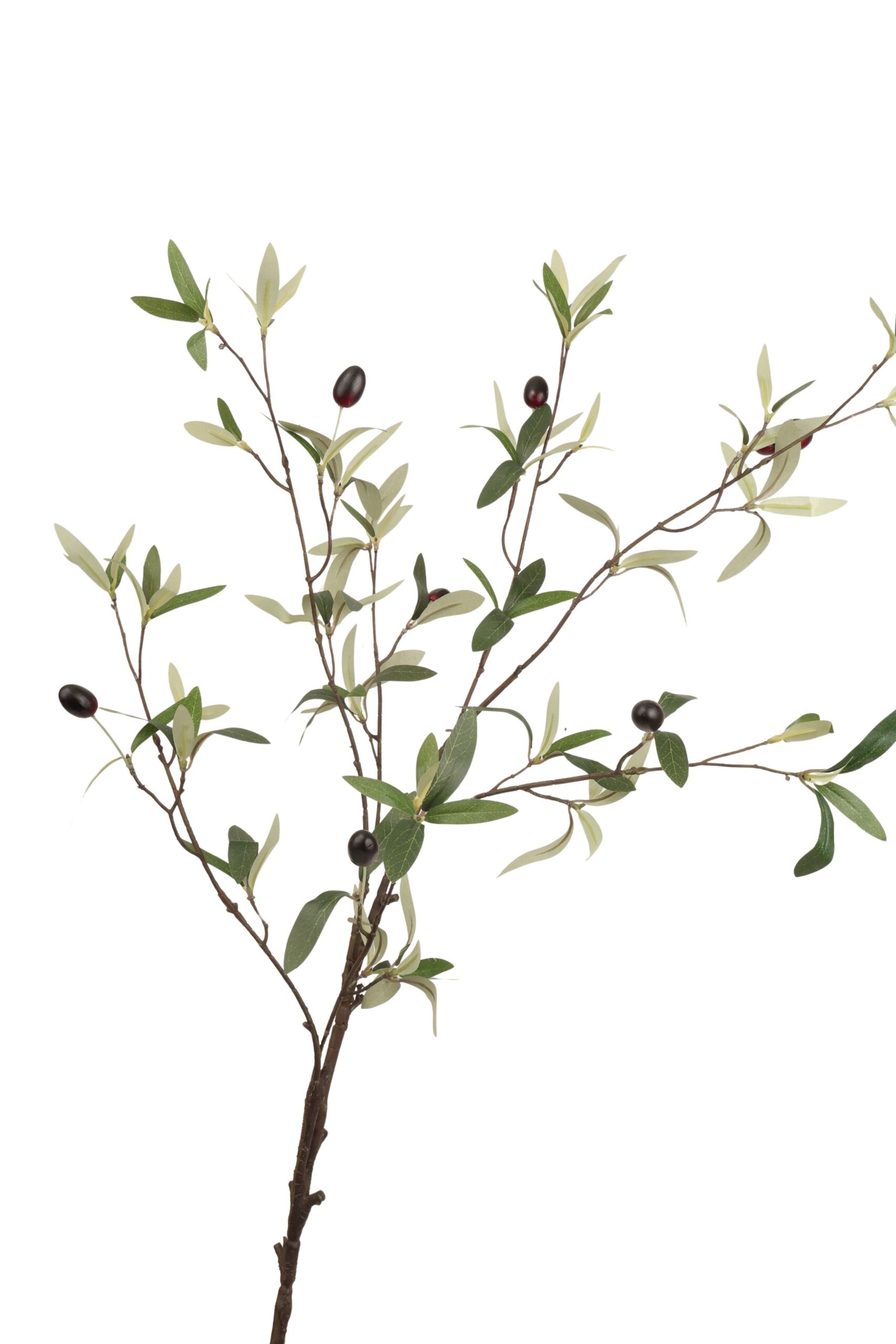Olijftak met bes 120 cm groen