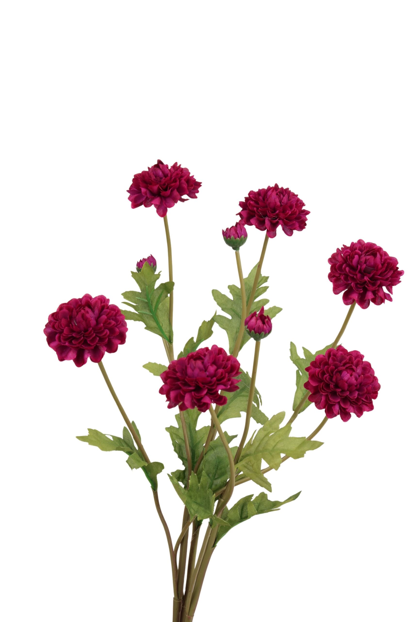Dahlia mini bos x 3 59 cm paars