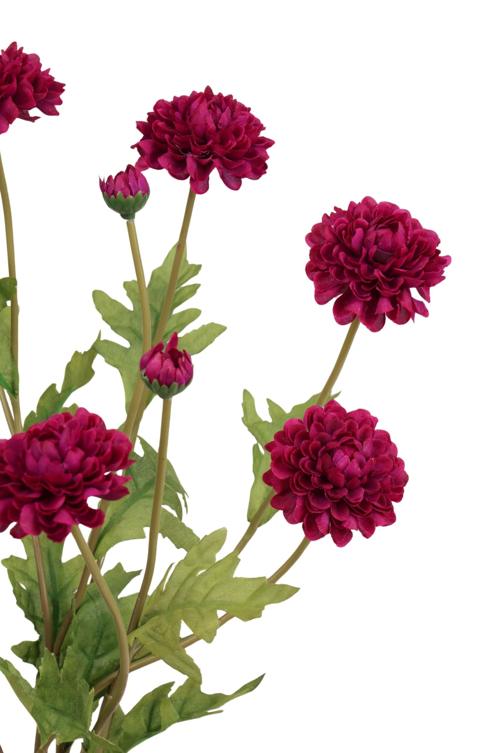 Dahlia mini bos x 3 59 cm paars, foto 2 van 2