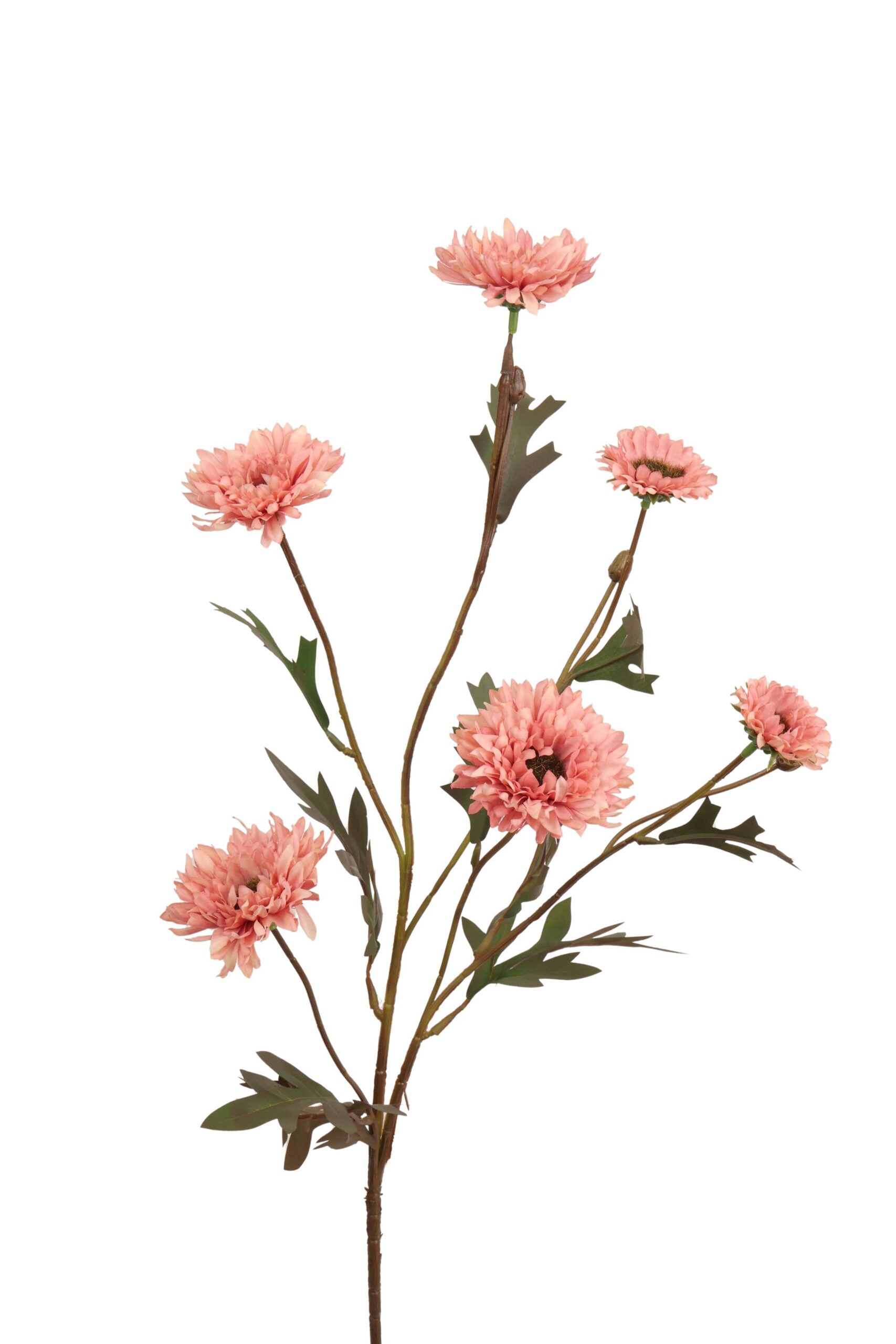 Margriet tak 81 cm roze