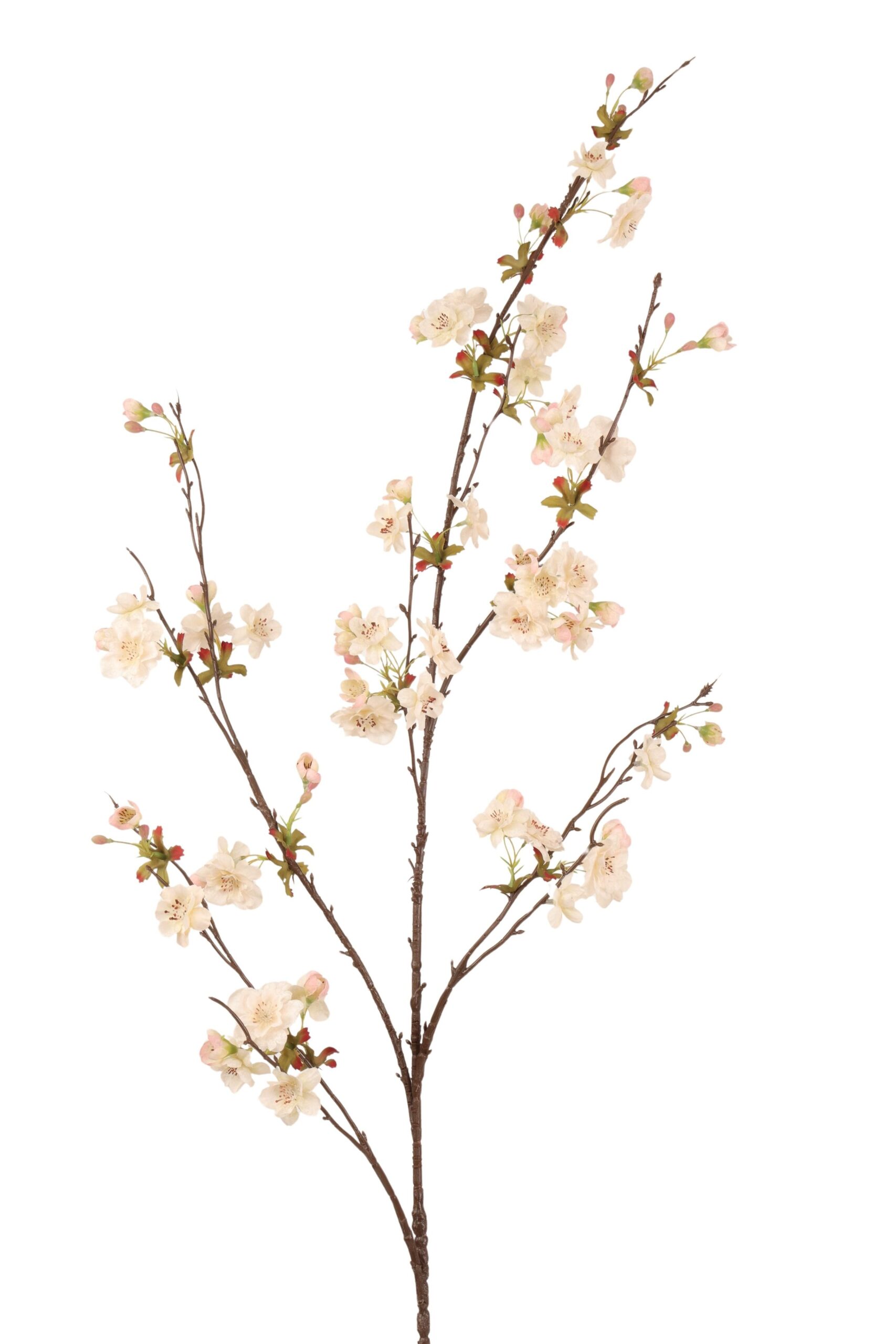 Bloesem tak osaka 125 cm wit